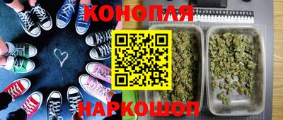 гидра Пенза