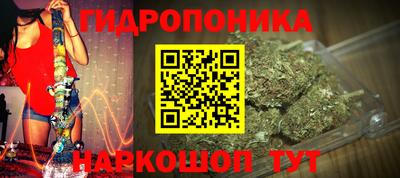 гидра Пенза