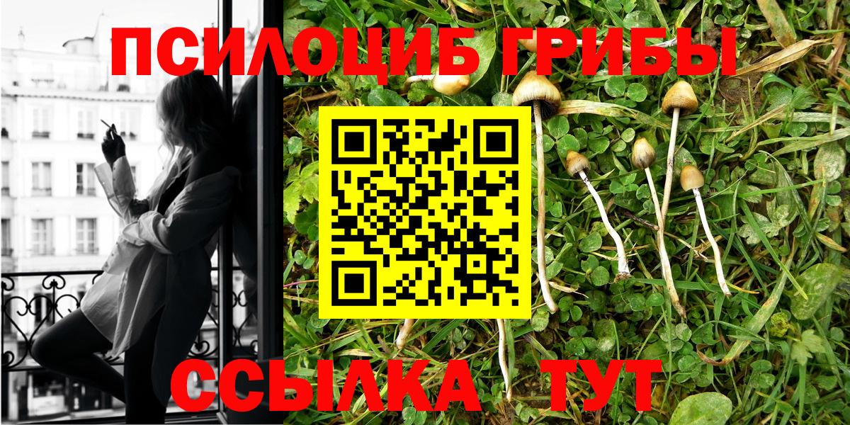 Псилоцибиновые грибы мицелий Свободный