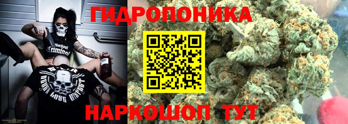 Свободный  Конопля SATIVA & INDICA  Вход с VPN  МАРИХУАНА White Widow 